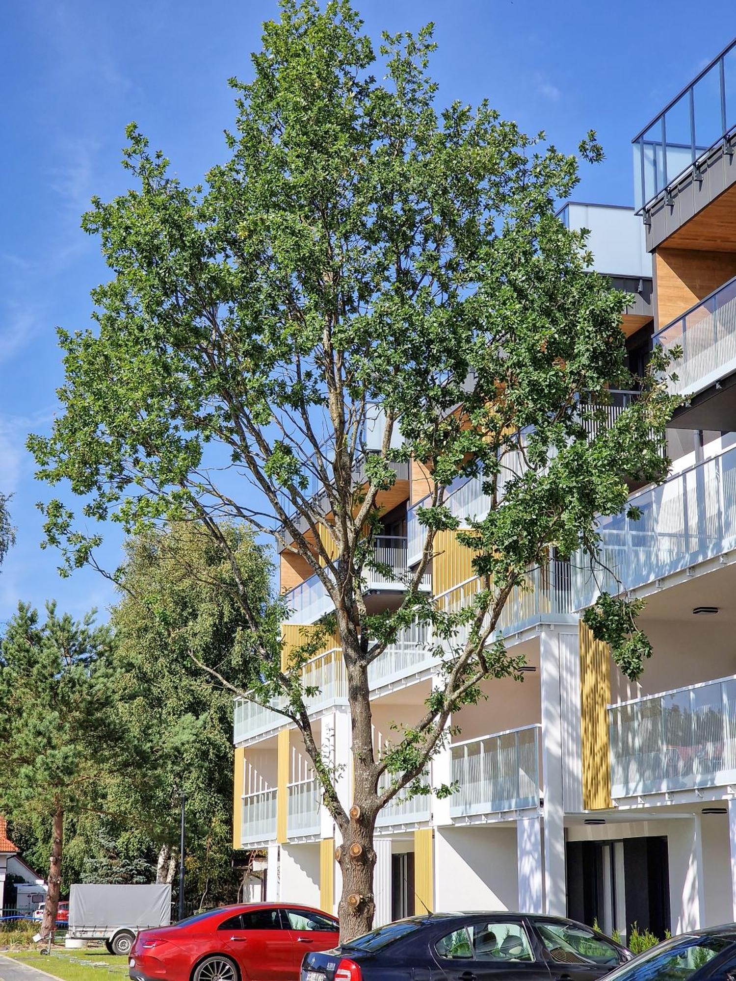 Posesja Apartamenty & Spa - Posesja Plazowa 4A II Гжибово Екстериор снимка